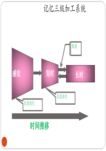 认知心理学-5-短时记忆