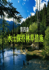 第四章-水土保持生物措施(1)