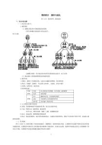 第讲基因突变、基因重组