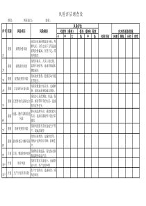 风险评估调查表