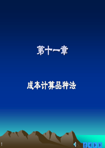 第十一章 成本计算品种法