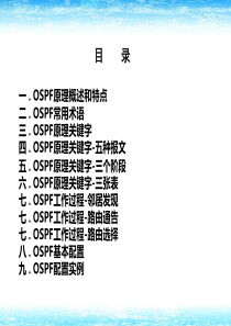 交换机OSPF的基本原理和配置