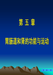 王步标运动生理学-第五章-胃肠道和肾的功能与运动