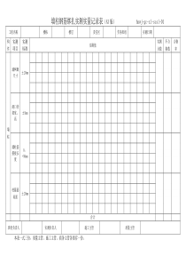 实测实量记录表格式