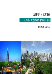 2019江苏常州人民路武宜路项目策划定位报告