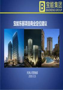 2019宝能东丽项目商业定位建议