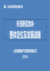 2019年4月淄博东岳新区地块整体定位及发展战略