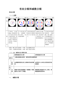 高中生物必修二有丝分裂-减数分裂详尽分析