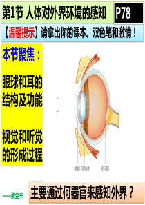 第1节-人体对外界环境的感知课件