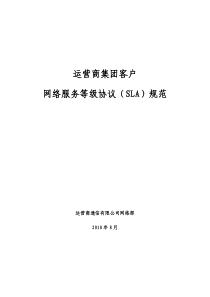 运营商集团客户网络分级服务(SLA)规范