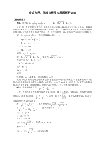 分式方程、无理方程及应用题解析训练