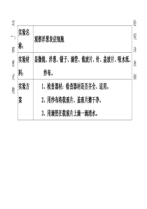 青岛版六年级下册科学实验报告单