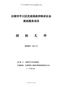 民政局政府购买社会救助服务项目公开招投标书范本