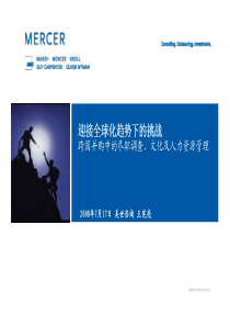 跨国并购中的尽职调查、文化及人力资源管理(74页)