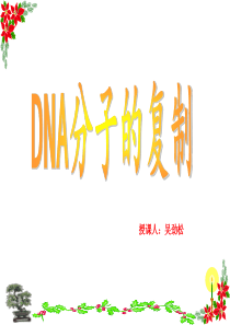 DNA的复制过程(公开课)