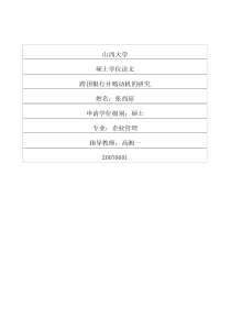 跨国银行并购动机的研究