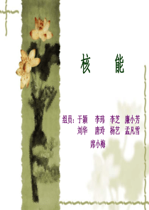 核能ppt