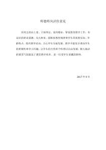 师德师风评价意见