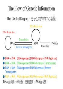 重组DNA与遗传工程