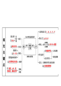 绝世好件!重点中学二轮复习酶和ATP