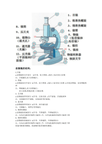 初中显微镜结构及使用