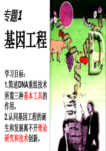 DNA重组技术的基本工具.ppt