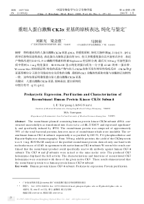 重组人蛋白激酶CK2Α亚基的原核表达、纯化与鉴定