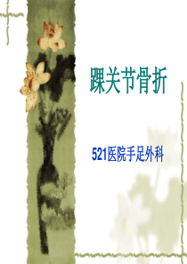 踝关节骨折-ppt课件