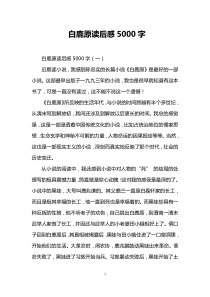 白鹿原读后感5000字