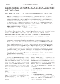 重组腺相关病毒载体介导的绿色荧光蛋白在急性髓性白血病患者骨髓