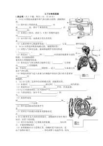 七年级下生物填图题(含答案)