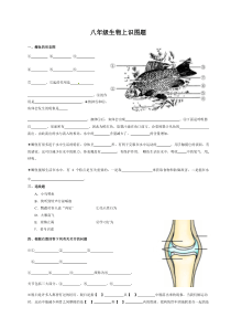 八年级生物上填图题(识图题)专题复习汇总