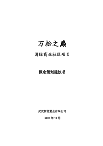 万松之巅国际商业社区项目概念策划建议书