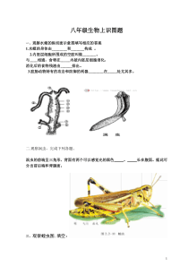 八年级生物上填图题(识图题)专题复习[1]-