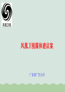 广告公司凤凰卫视提案(PPT-44页)