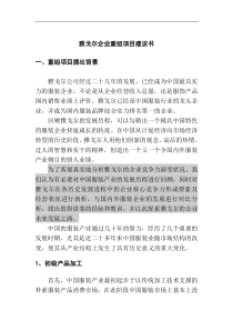 雅戈尔企业重组项目建议书