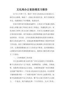 文化局办公室助理实习报告