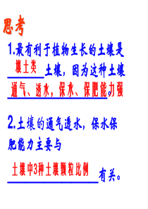 浙教版八年级下册科学4.3植物的根与物质吸收(3课时)(69张PPT)