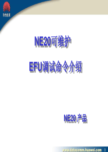 NE20产品可维护性培训