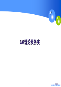 EAP理论与务实