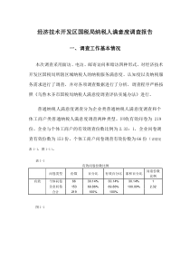 国税局纳税人满意度调查报告及调查指标模板