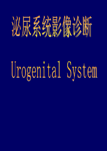 泌尿系统影像学表现(详细、全面)