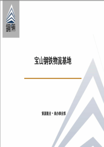 上海宝山钢领市场及策划方案