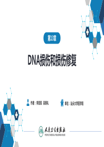 生物化学及分子生物学(人卫第九版)-13DNA损伤和损伤修复