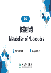 生物化学及分子生物学(人卫第九版)-09核苷酸代谢