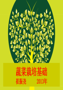 蔬菜栽培基础