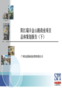 世品公司阳江瑞丰金山路商业项目总体策划报告(下)