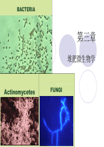 堆肥科学与技术-第三章