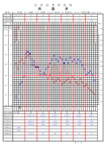 体温单-样本