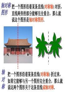 4.3中心对称(公开课)